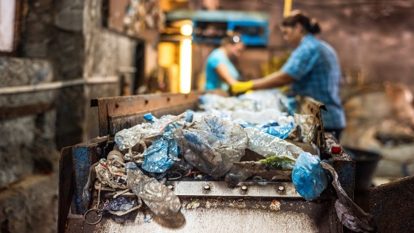Junk Removal Company